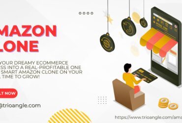 Launch Your Own Marketplace with Our Amazon 
