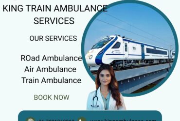 Choose King Train Ambulance service in Pune to take care of your patients