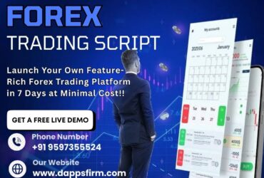 Cut Development Time and Costs with Market-Driven White Label Forex Trading Software