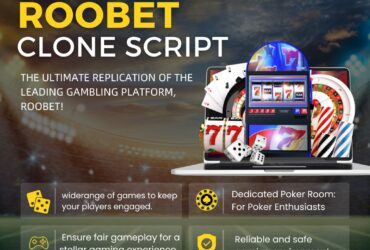 Entrepreneurs! Start a Roobet-Like  Casino with White Label Support