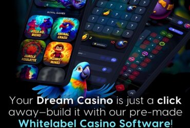  Gaming Business Growth Starts with Our White Label Casino Software