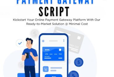 Low-Cost Payment Gateway Script to Launch Your Payment App
