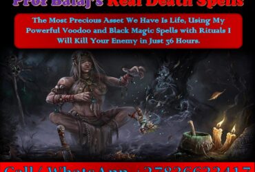 Death Spell Caster Near Me: How to Kill My Enemy by Black Magic, Voodoo Revenge Death Spells That Work Instantly +27836633417