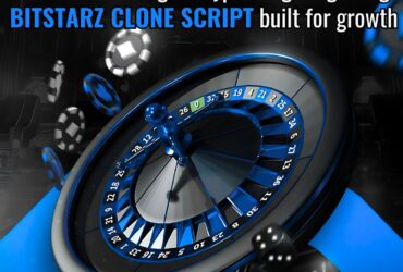 Ride the Bull Run Wave With a High-Stakes Platform Using Bitstarz  Script