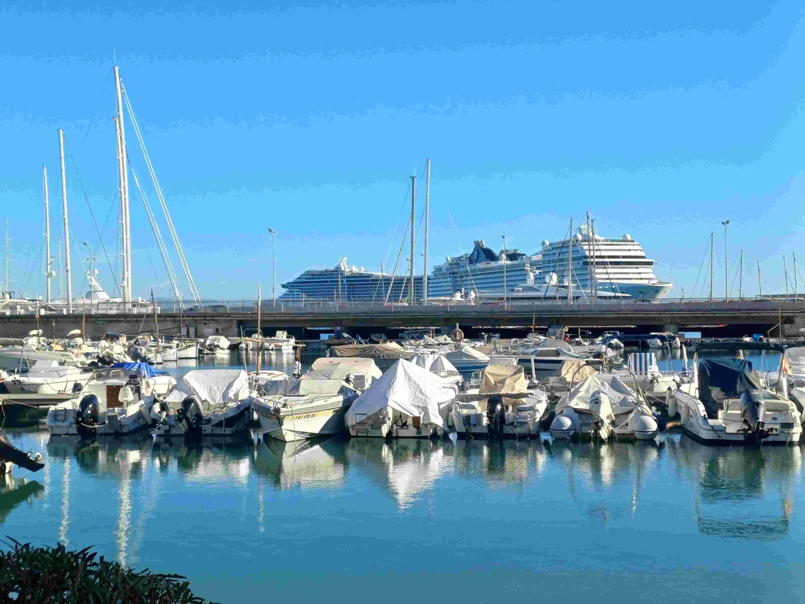 Don't miss the boat.