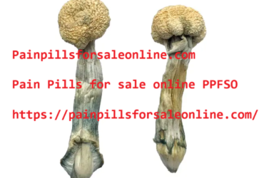 Albino Treasure Coast shrooms – Painpillsforsaleonline.com
