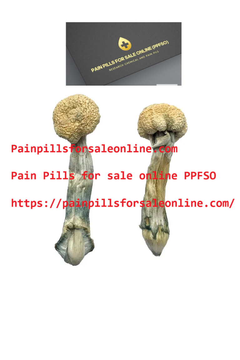 Albino Treasure Coast shrooms – Painpillsforsaleonline.com
