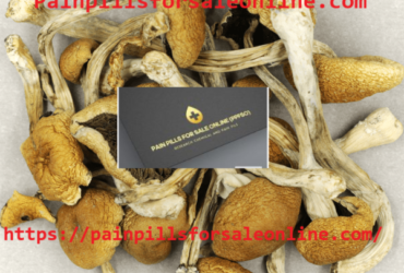 Buy Psychedelics Mushrooms online – Painpillsforsaleonline.com