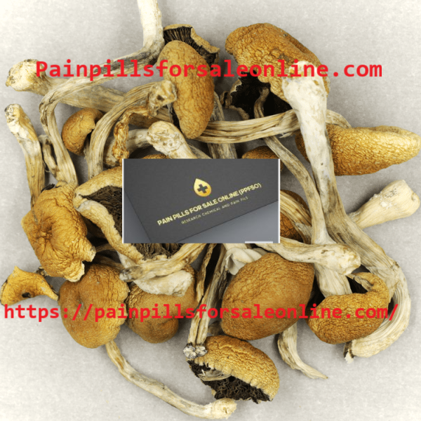 Buy Psychedelics Mushrooms online – Painpillsforsaleonline.com