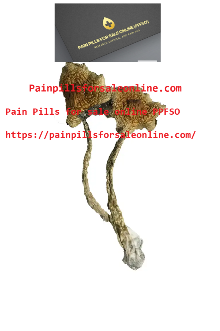 Buy Albino Cambodians Magic Mushrooms for Mindful Journeys