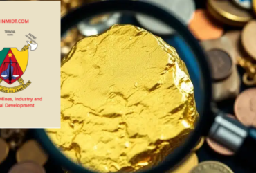 Buy Gold in Cameroon, full CIF – Minmidt.com