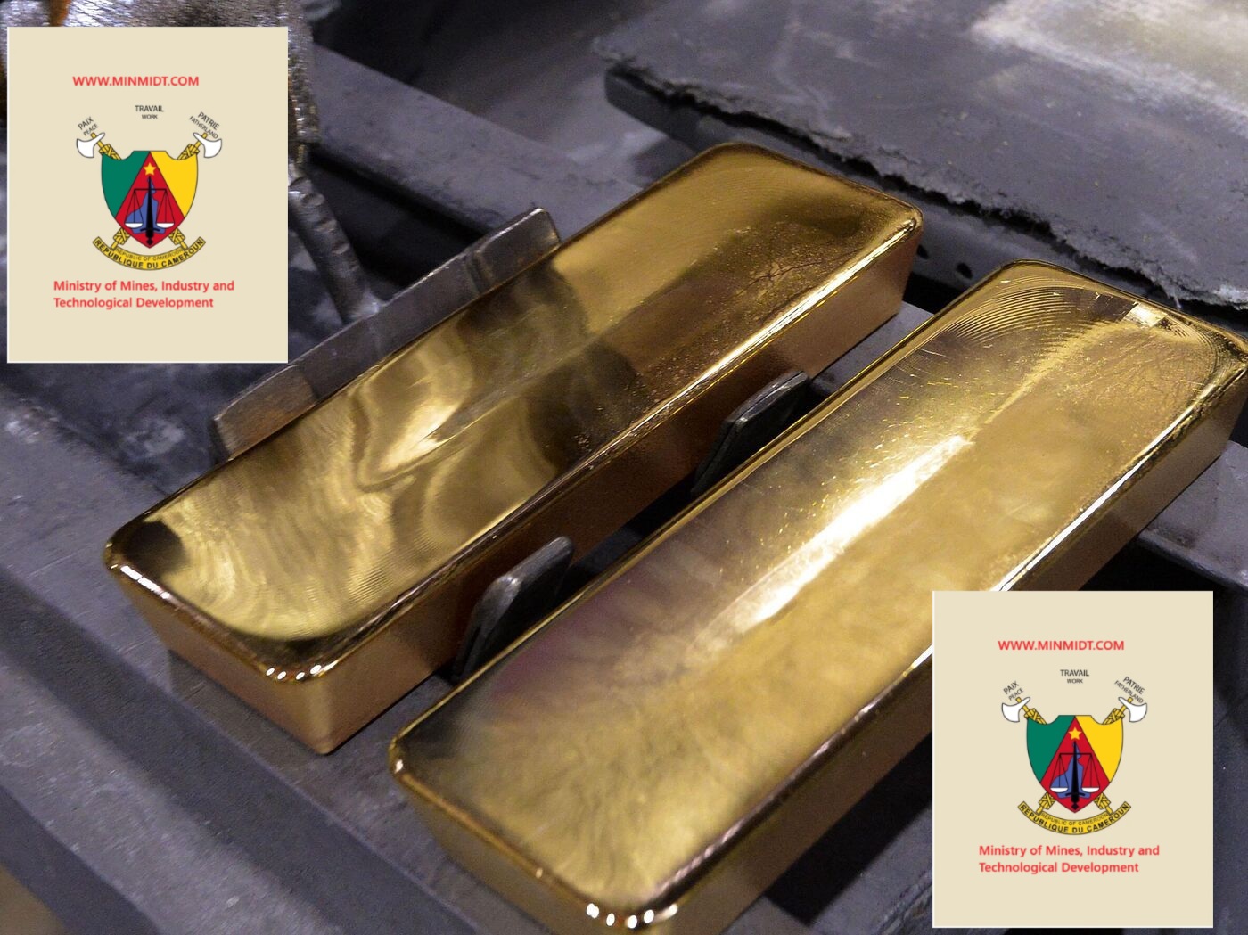 Gold Vendor List in Cameroon – Minmidt.com