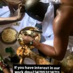 ifagbamilaherbalist