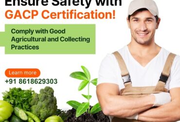 GACP Consultants Services in Houston