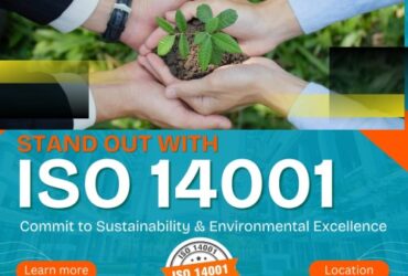 ISO 14001 Certification in Florida