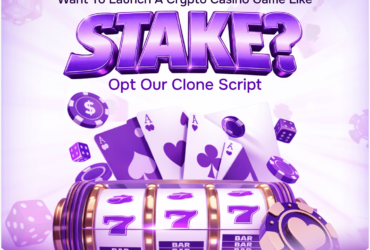 Start Online Betting Business Using Stake  Script – Free Demo Available