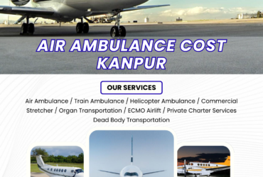 Dedicated Air Ambulance Network in Kanpur