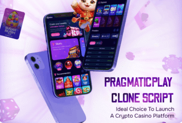 Pragmatic Play  Script With Free Consultation for Startups