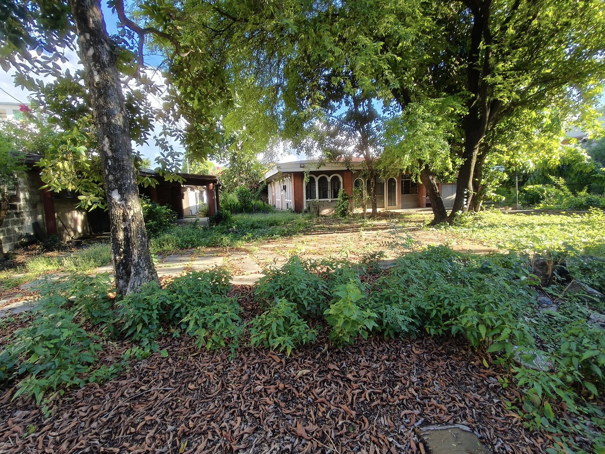 HOUSE AND LOT FOR RENT [SALE]