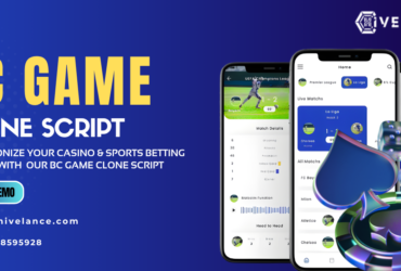 BC. game  Script – Start Your Real  App at Low Cost