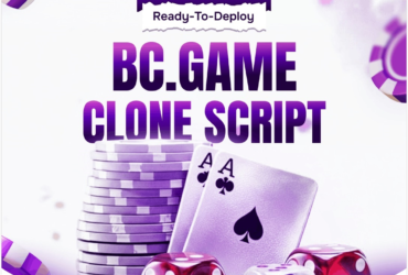  Casino Startup? Try BC.Game  Script – Free Consultation Available