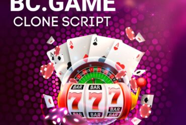 BC. game  Script – Build Your  Betting Venture With Licence at Low Cost