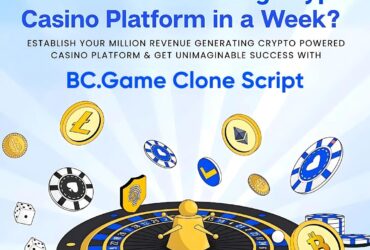 BC.Game  Script by Hivelance Company for Next-Gen  Casinos
