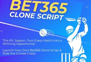 Bet365  Script: The Smart Way to Enter the Sportsbook Industry