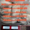 Buy ADB-BUTINACA (CAS Number: 2682867-55-4) ADBB ORDER ADB-BUTINACA ONLINE Where to buy ADB-BUTINACA Etomidate powder medetomidine powder buy Cychlorphine buy 5f-adb 5F-MDMB-PINACA 5cladba precusor spirobrorphine buy tiletamine Protonitazene/Metonitazene/Bromazolam/Isotonitazene/Etonitazen