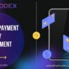 Upgrade Your Classifieds Platform with  Payment Gateway Integration