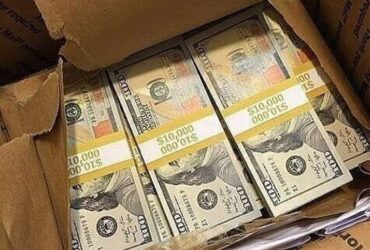 High quality of grade A  , , Pound , Philippines  available